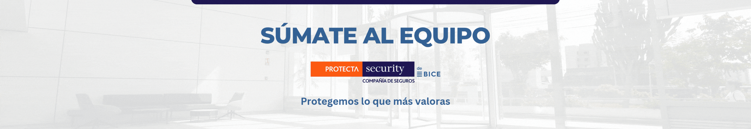 Imagen institucional