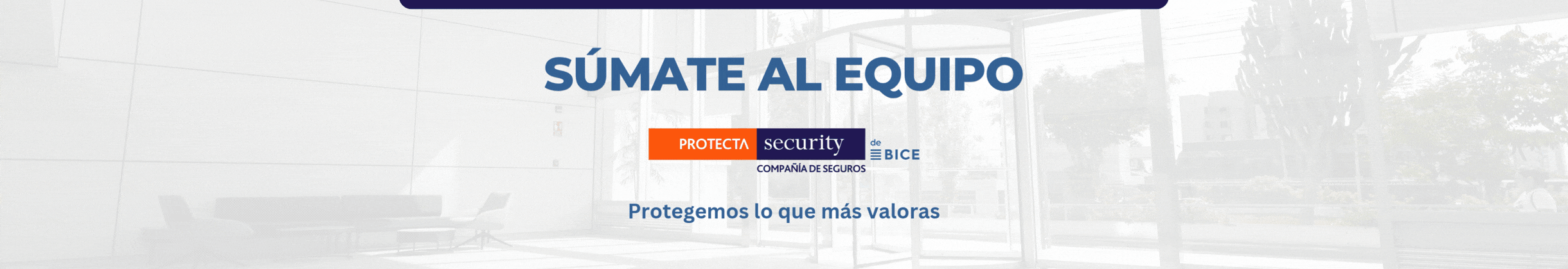 Imagen institucional